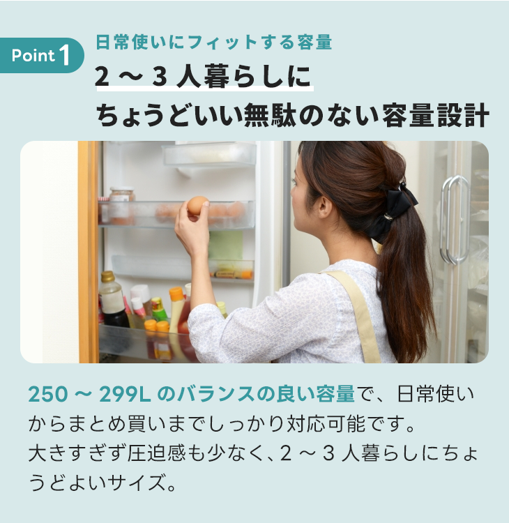 冷蔵庫 2～3人向け小【250～299L】2ドア｜家具家電のファストレンタル 