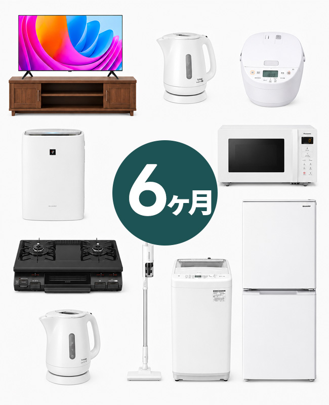 6ヶ月プラン